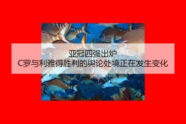 亚冠四强出炉 C罗与利雅得胜利的舆论处境正在发生变化